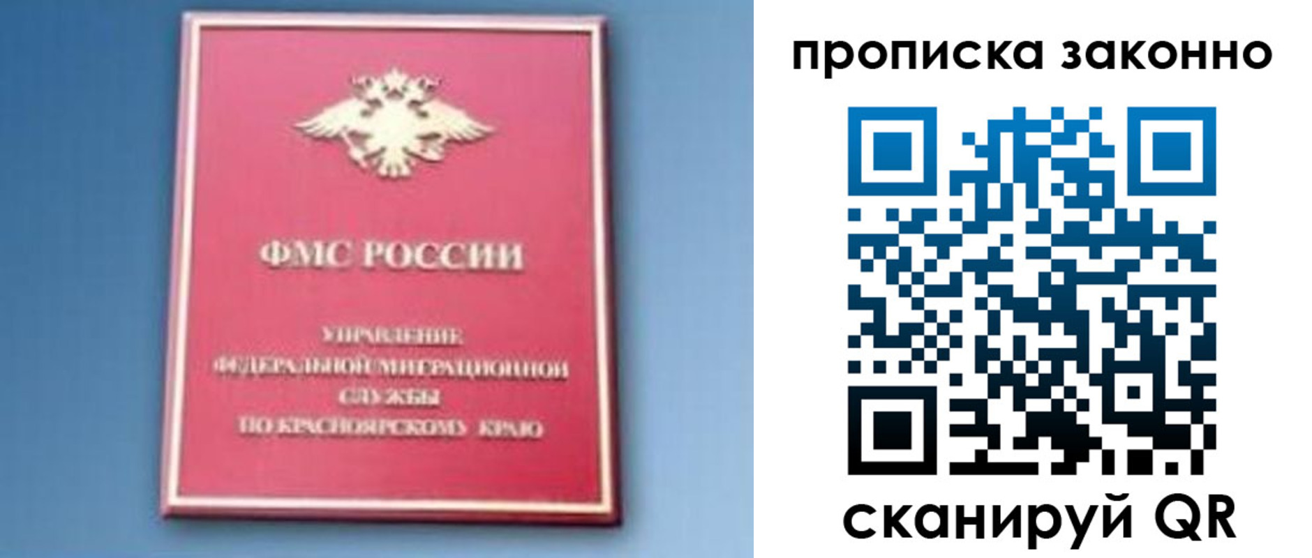 прописка законно в Борзе