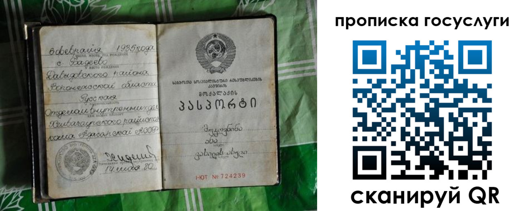 прописка паспорт в Борзе